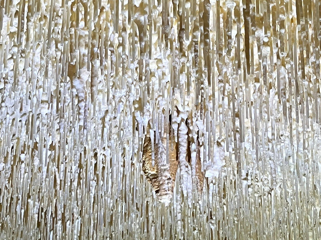 Grottes de Cougnac景点图片