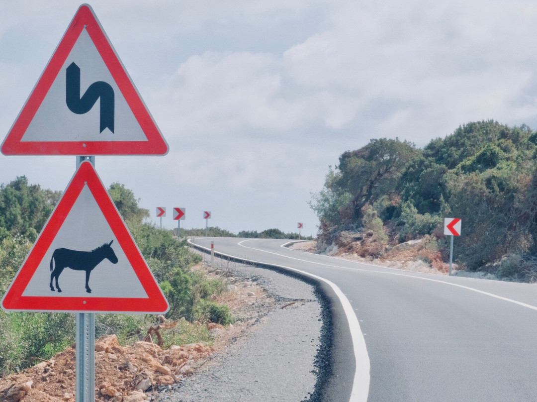 Dipkarpaz Milli Parki - Karpaz National Park Wild Donkey Protection Area景点图片