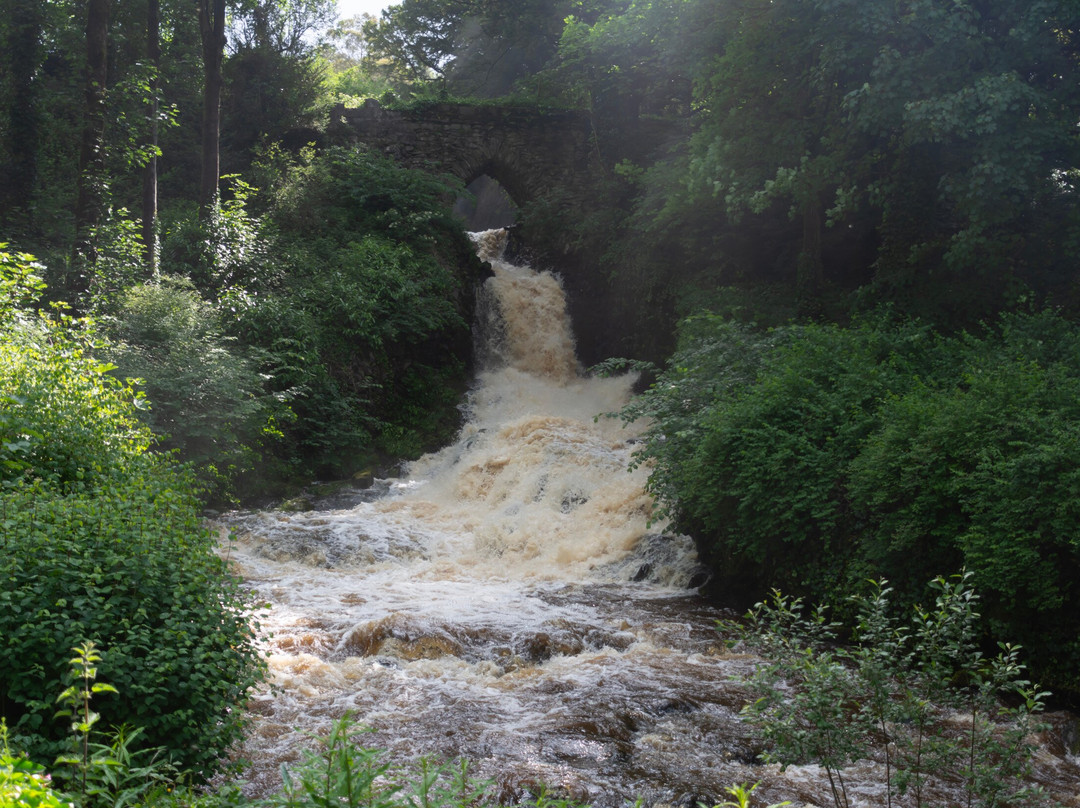 Ingleborough Estate Nature Trail景点图片