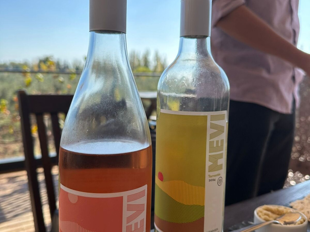 Mevi Bodega Boutique-Maipu必去景点