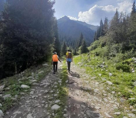 Waterfall In The Yard