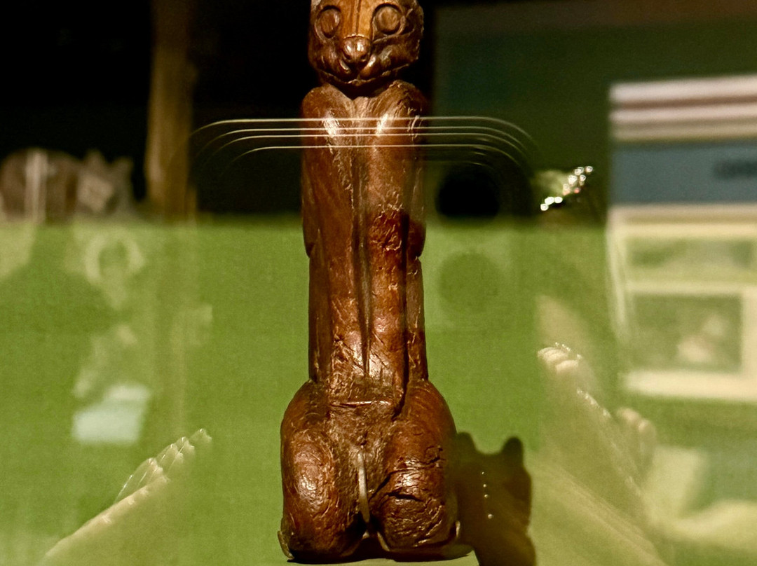 Marco Island Historical Museum景点图片