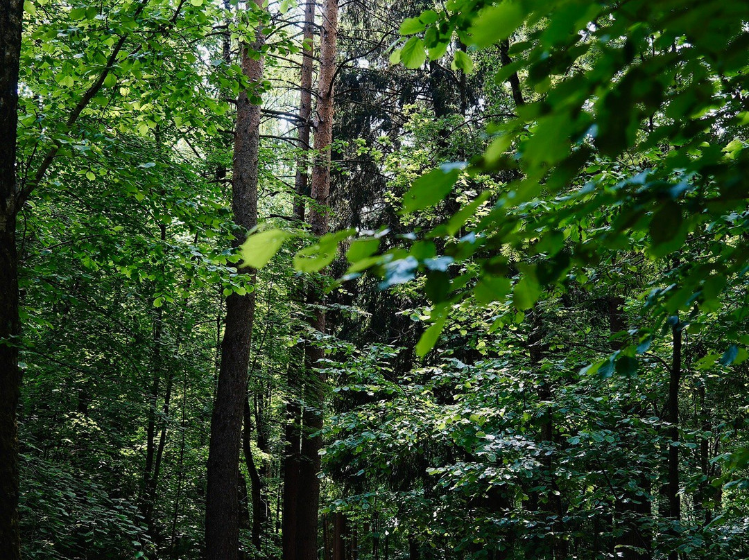 Meshherskiy Park-莫斯科必去景点