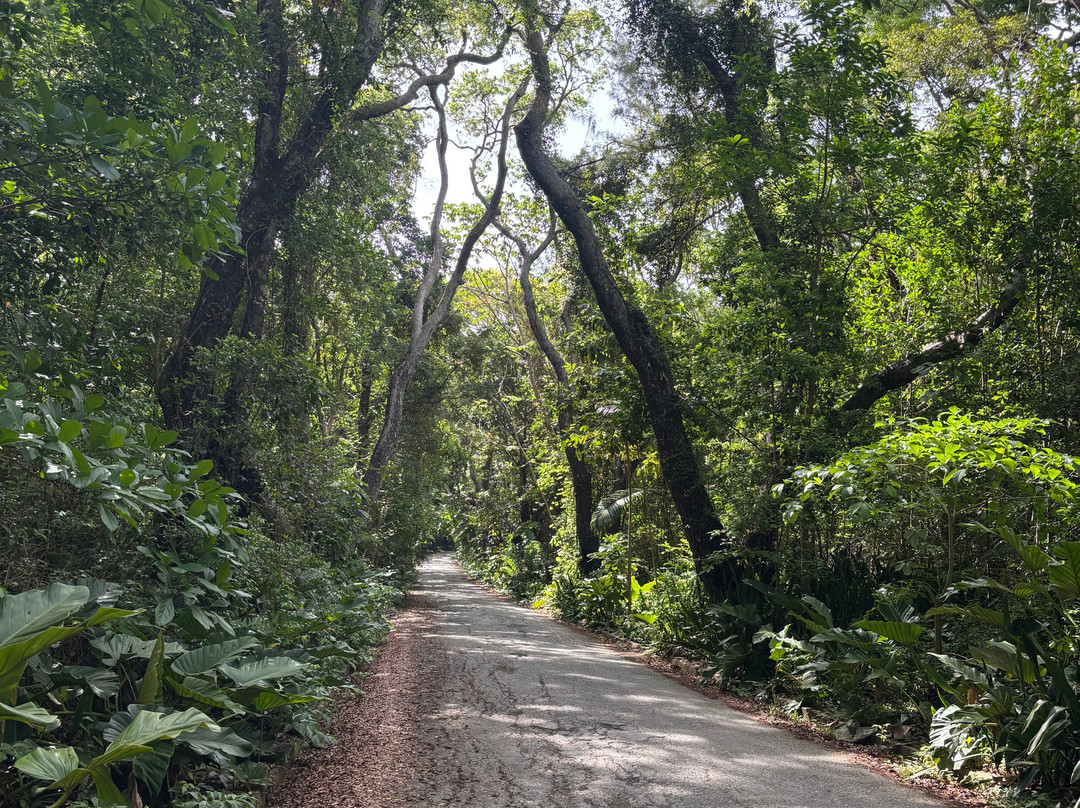Walkers Reserve-布里奇顿必去景点
