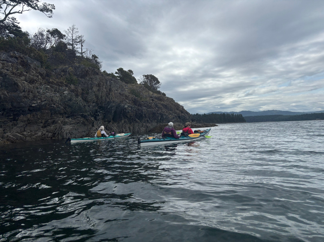 Adventuress Sea Kayaking-Nanoose Bay必去景点