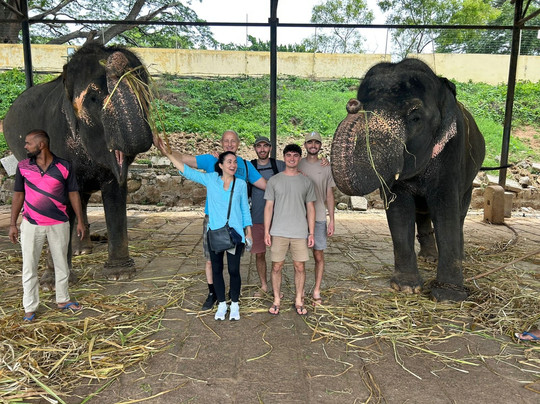 Hidden Gems Tours-班加罗尔必去景点