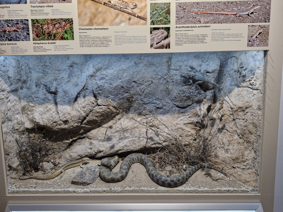 Episkopi Pafos Environmental Information Centre-Episkopi必去景点