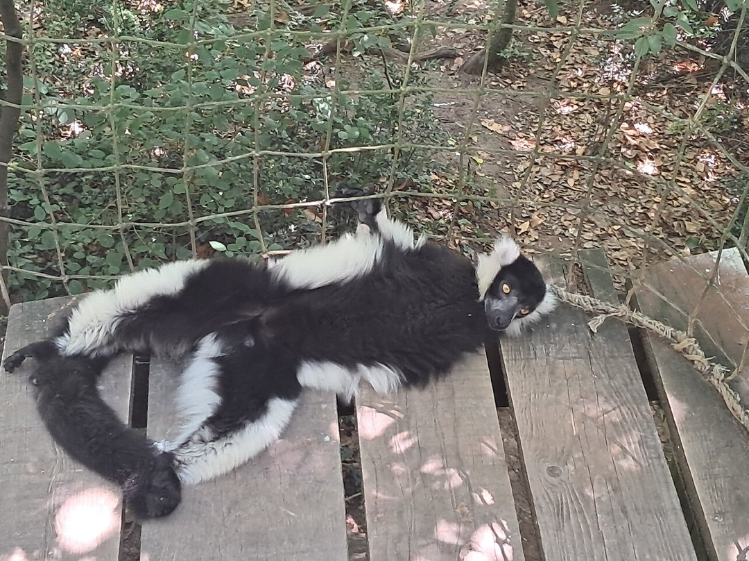 Réserve Zoologique De Calviac-Calviac-en-Perigord必去景点