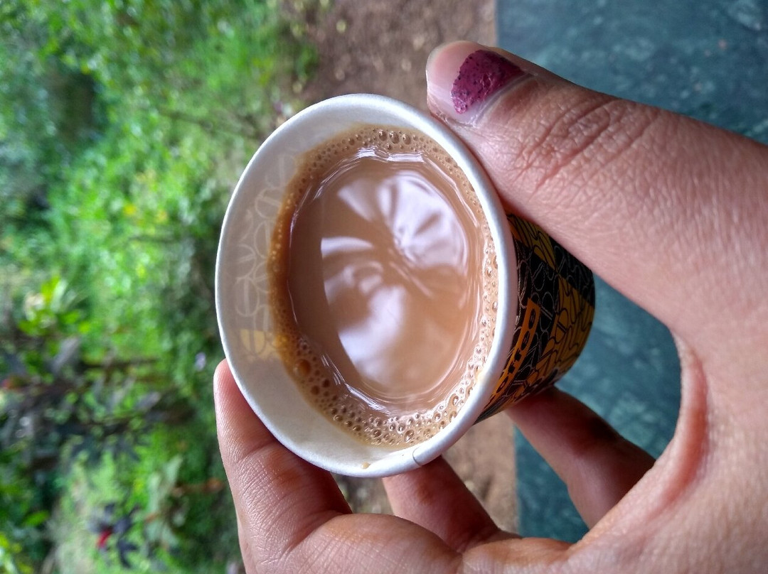 Rangmanch Farms-古尔冈必去景点