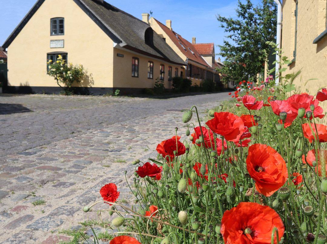 Dragor Havn-哥本哈根必去景点