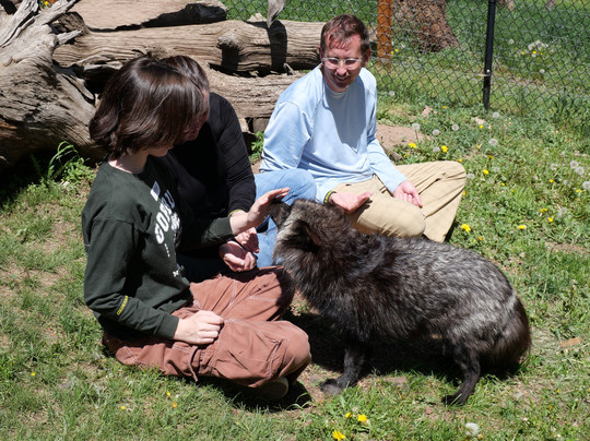 Colorado Wolf and Wildlife Center-Divide必去景点