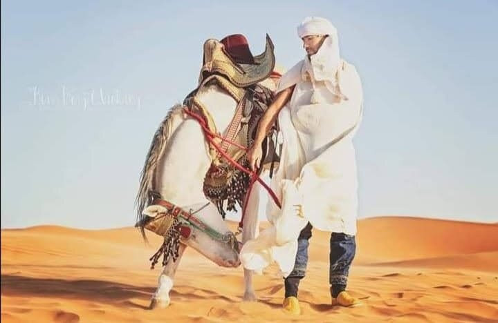 Centre Dar Equestre-阿伊特·本·哈杜筑垒村必去景点