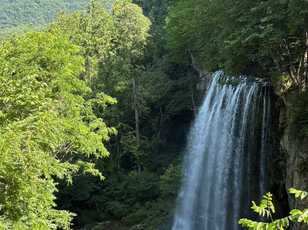 Falling Springs Waterfall-Covington必去景点