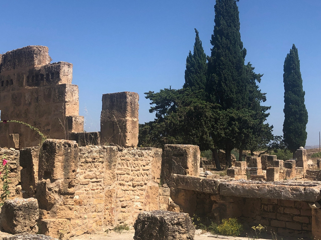 Utica-比塞大必去景点