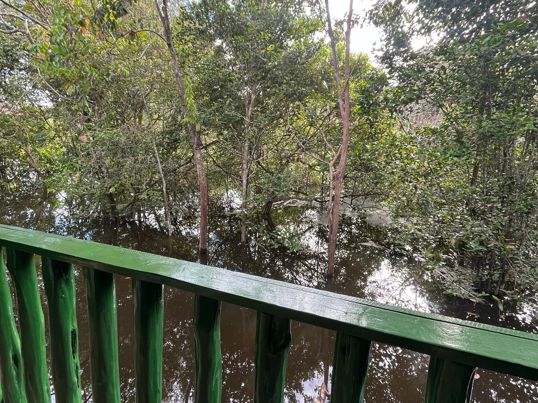 Amazonia Jungle Hotel主图