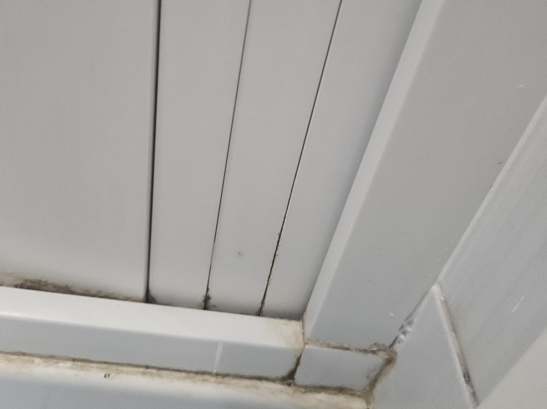 Etna Catania Center主图