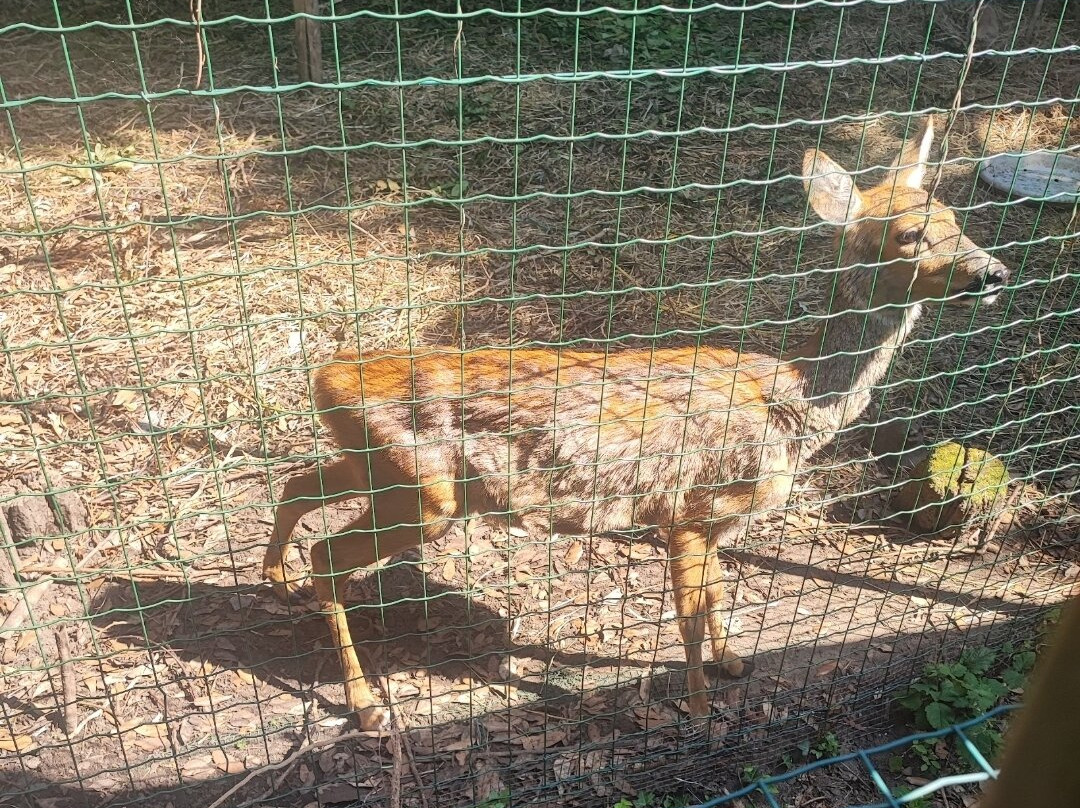 Parco WWF Centro Didattico Ronchi-Marina di Massa必去景点