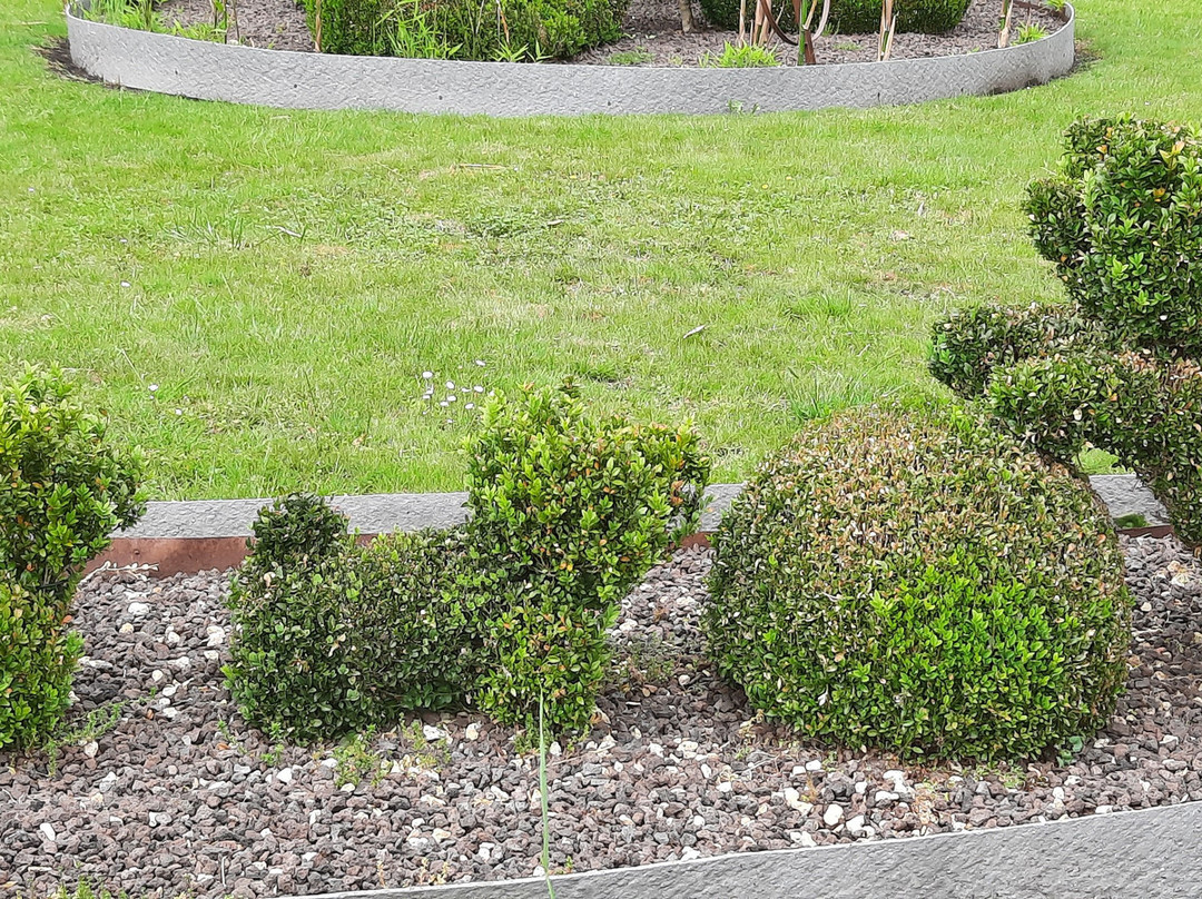 Topiary Park-德贝必去景点