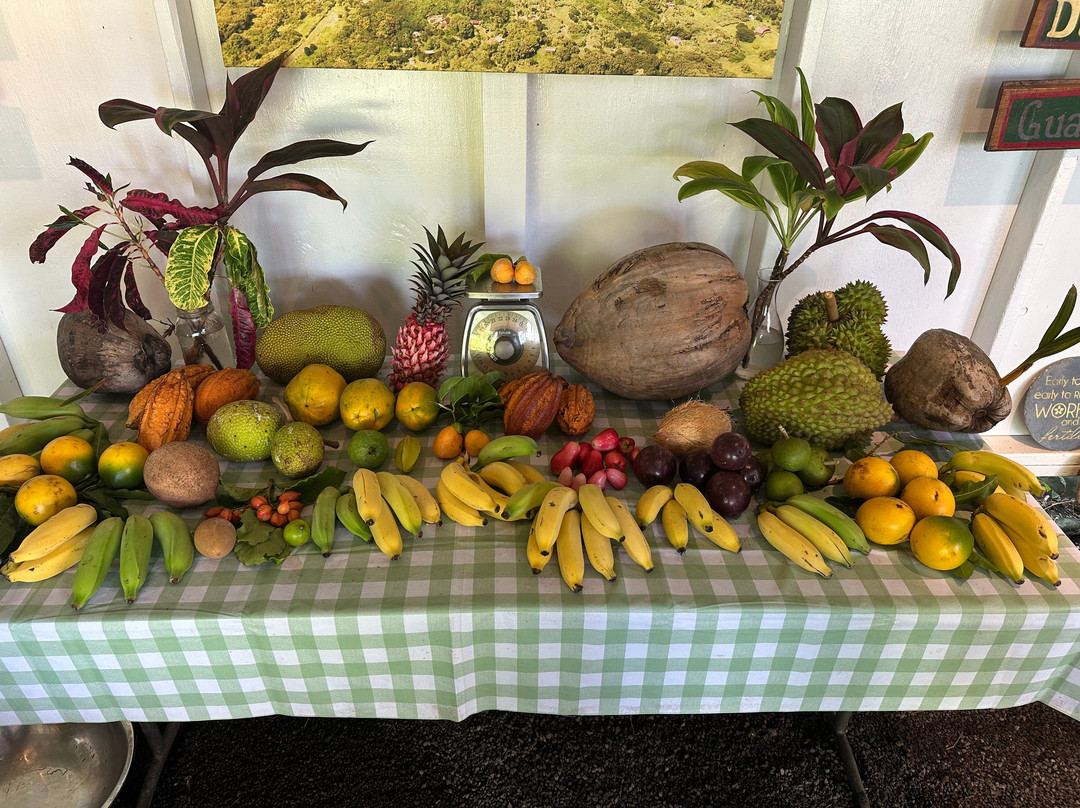 ONO Organic Farms-哈纳必去景点