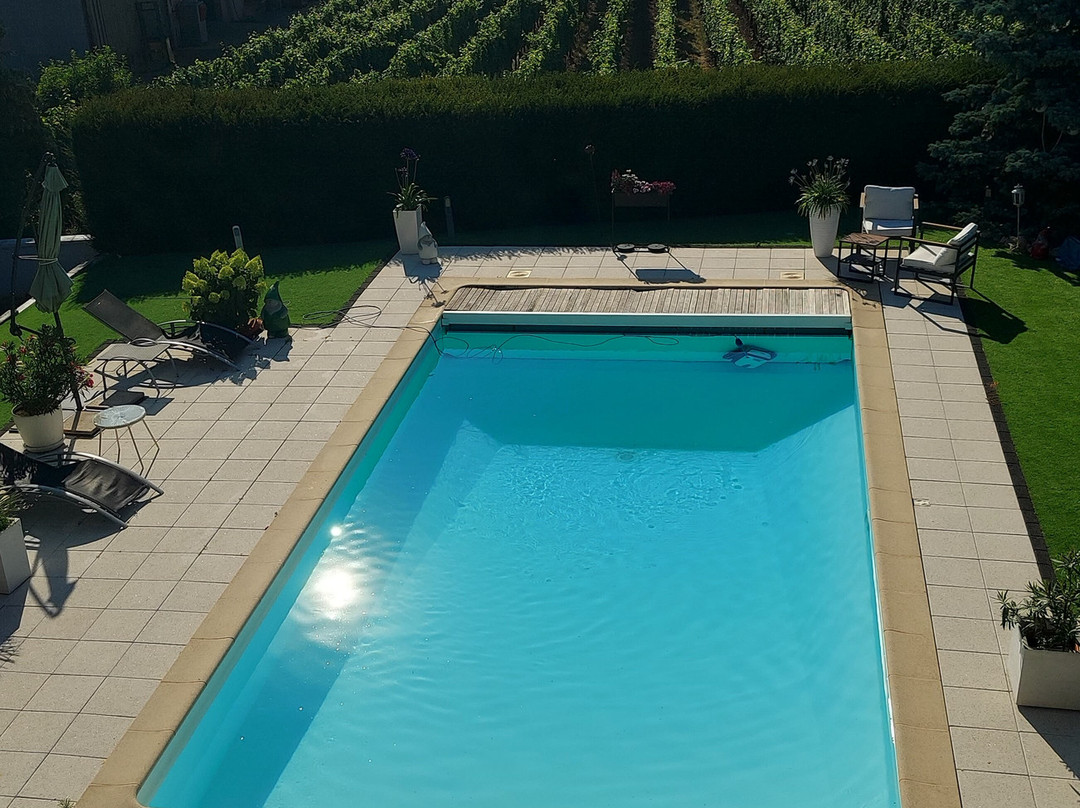 Au Coeur du Vignoble主图