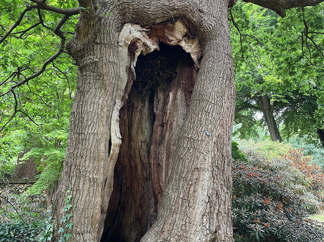 The Savill Garden-Englefield Green必去景点