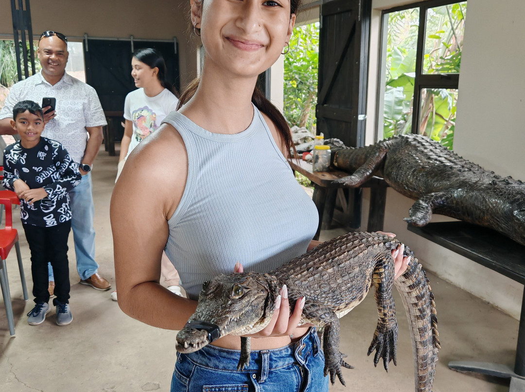Crocodile Creek-Tongaat必去景点