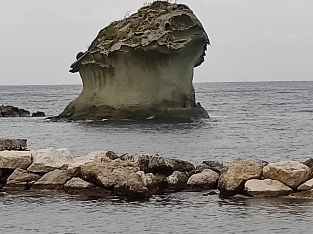 Fungo Di Lacco Ameno-Lacco Ameno必去景点
