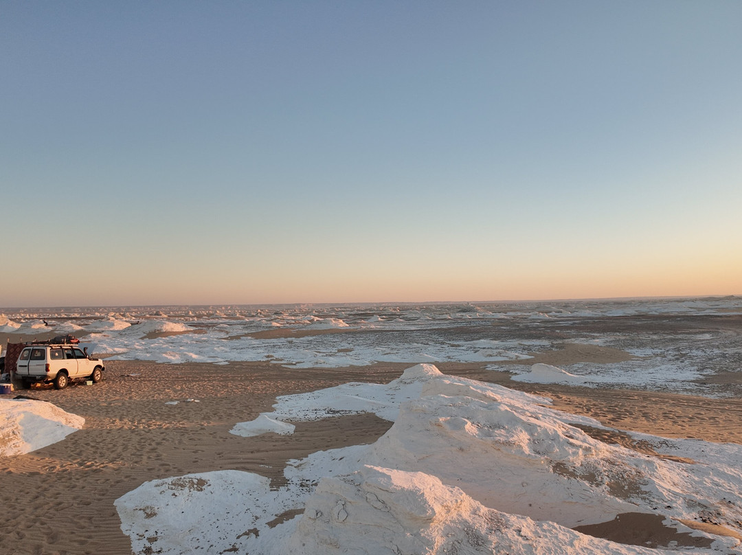 white desert travel-Bahariya Oasis必去景点