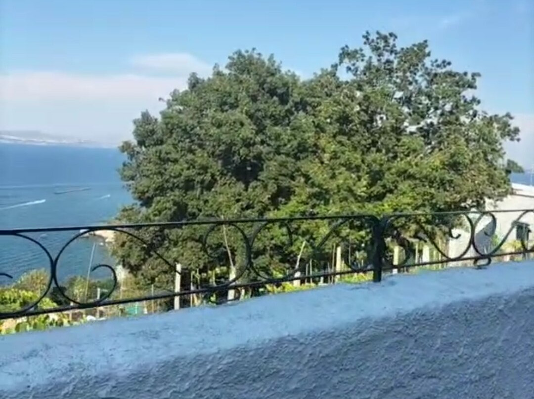 Hotel Villa Ireos主图