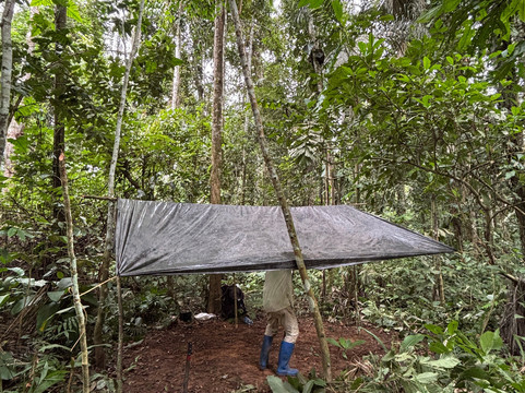 Inca Land Tours-拉巴斯必去景点