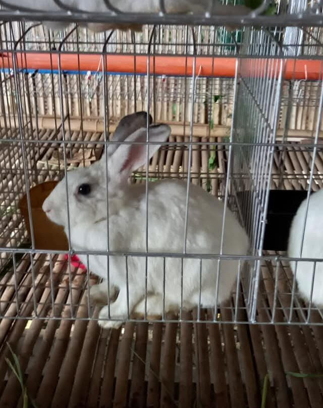 Gallo Agri-Tourism Park-San Miguel必去景点