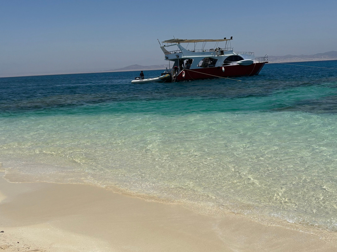 Wonderful Dive-马萨阿拉姆必去景点