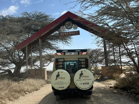 Tanzania Songbirds Safaris-阿鲁沙必去景点