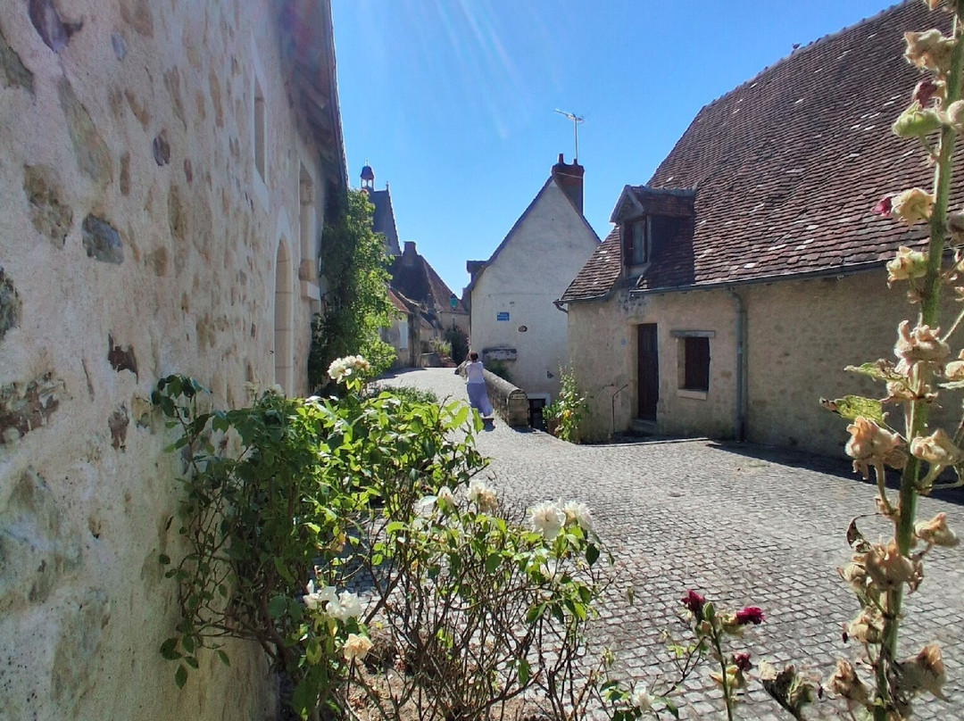 Château de Montrésor-Montresor必去景点