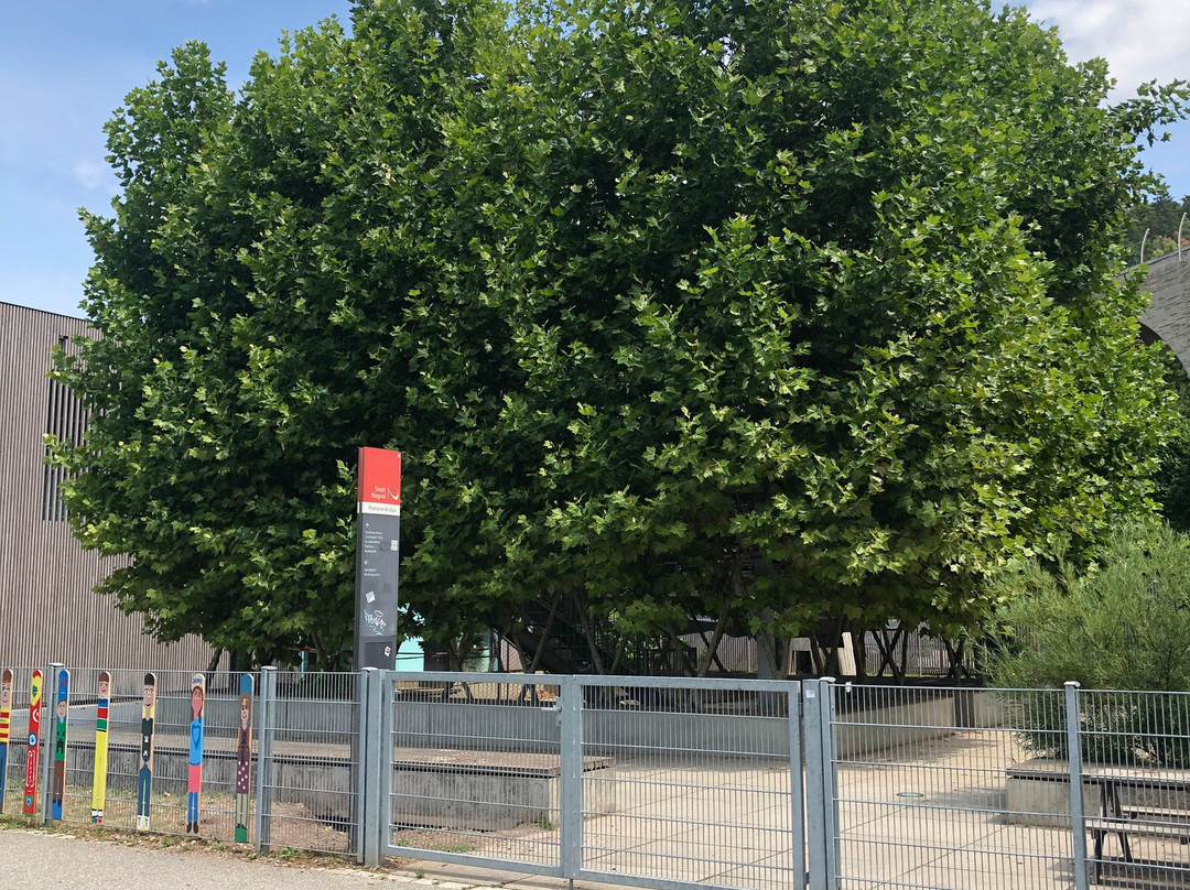 Platanenkubus-Nagold必去景点