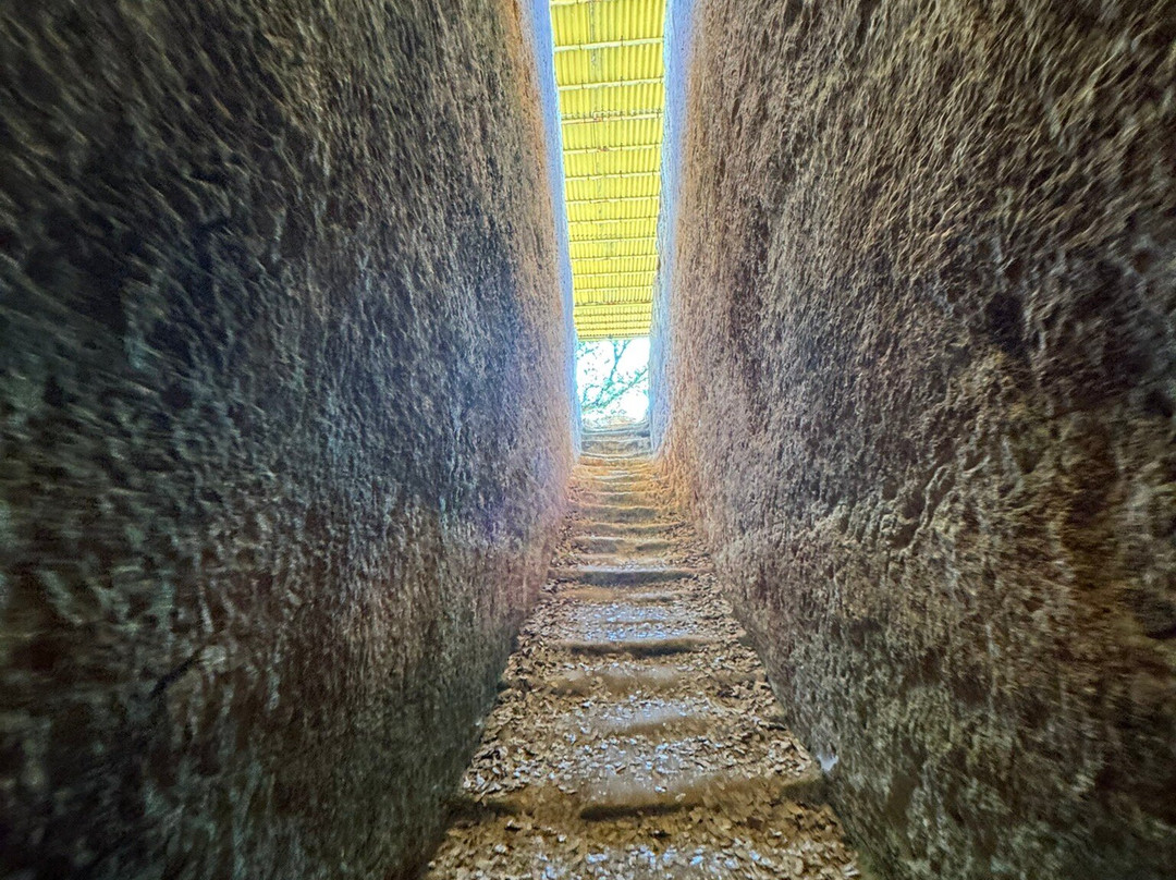 Late Minoan Tholos Tomb-Armeni必去景点