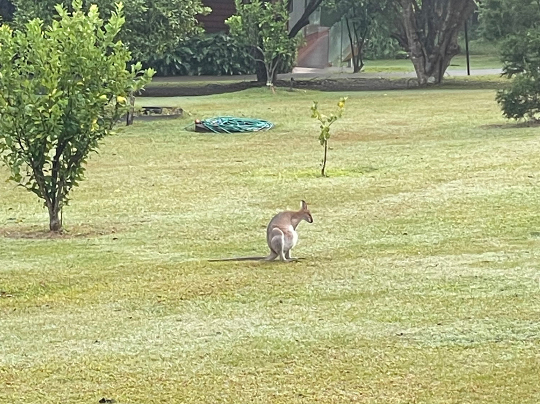 Gwinganna Lifestyle Retreat主图