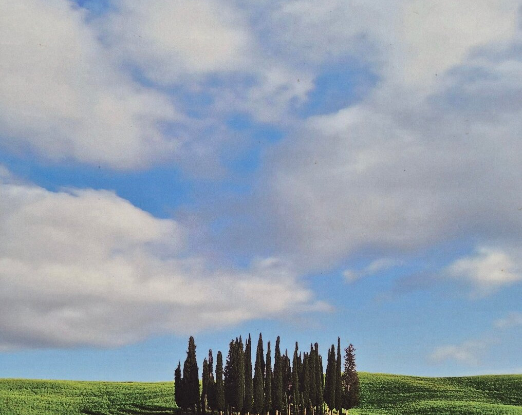 Cipressi di San Quirico d'Orcia-圣奎里科多尔恰必去景点