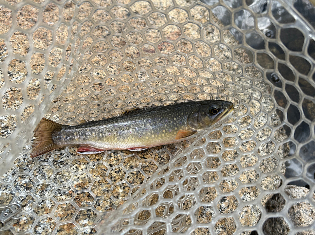 Rock Creek Pack Station-毕晓普必去景点