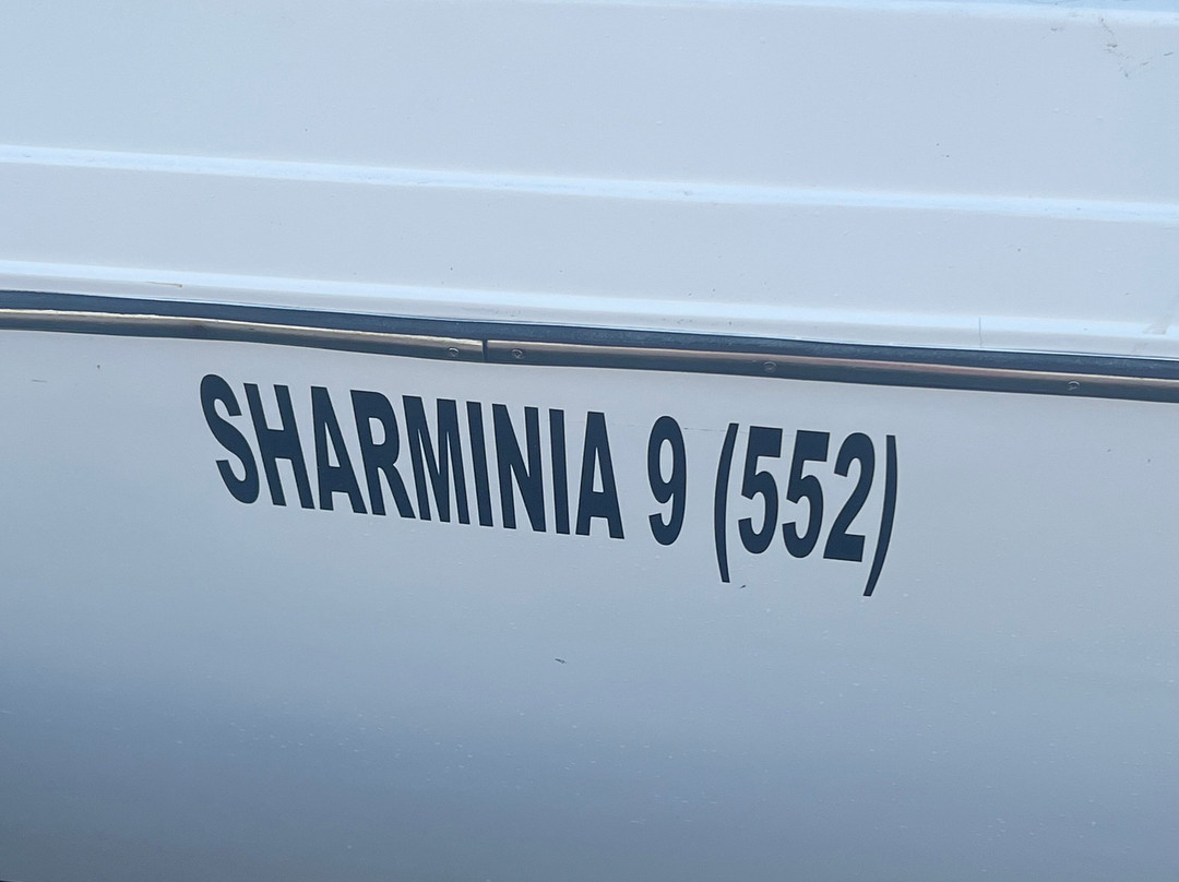 Sharmania Water Sports - El Gouna-艾高娜必去景点