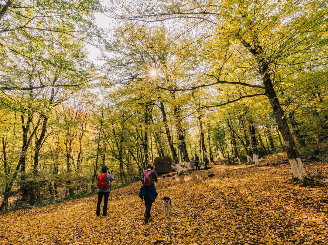 Ambil Lake-Guba-Khachmaz Region必去景点