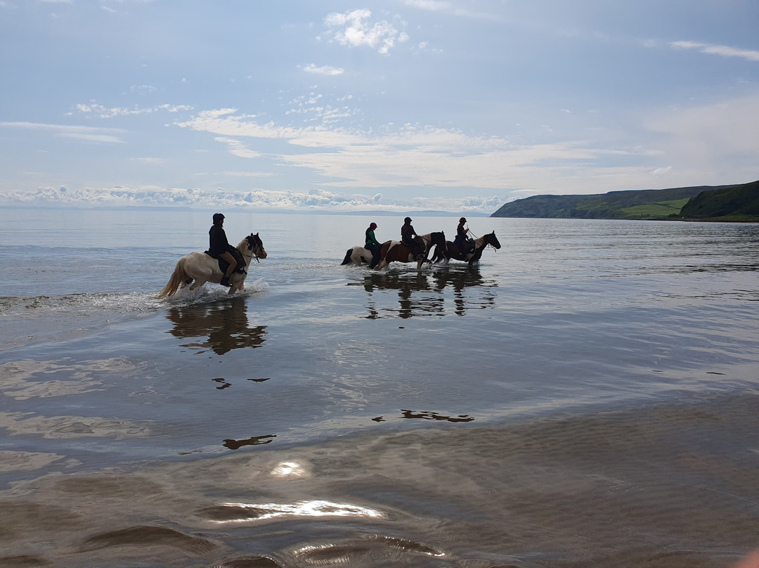 Wilder Ways-Campbeltown必去景点
