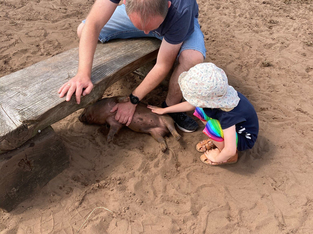 Dyrehaven Engholm-Noerre Nebel必去景点