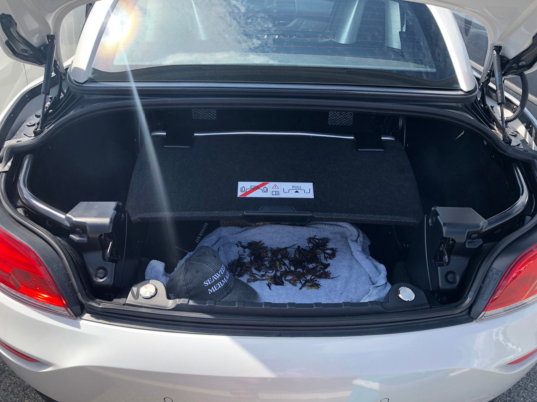 Catxalot-格雷贝斯塔必去景点