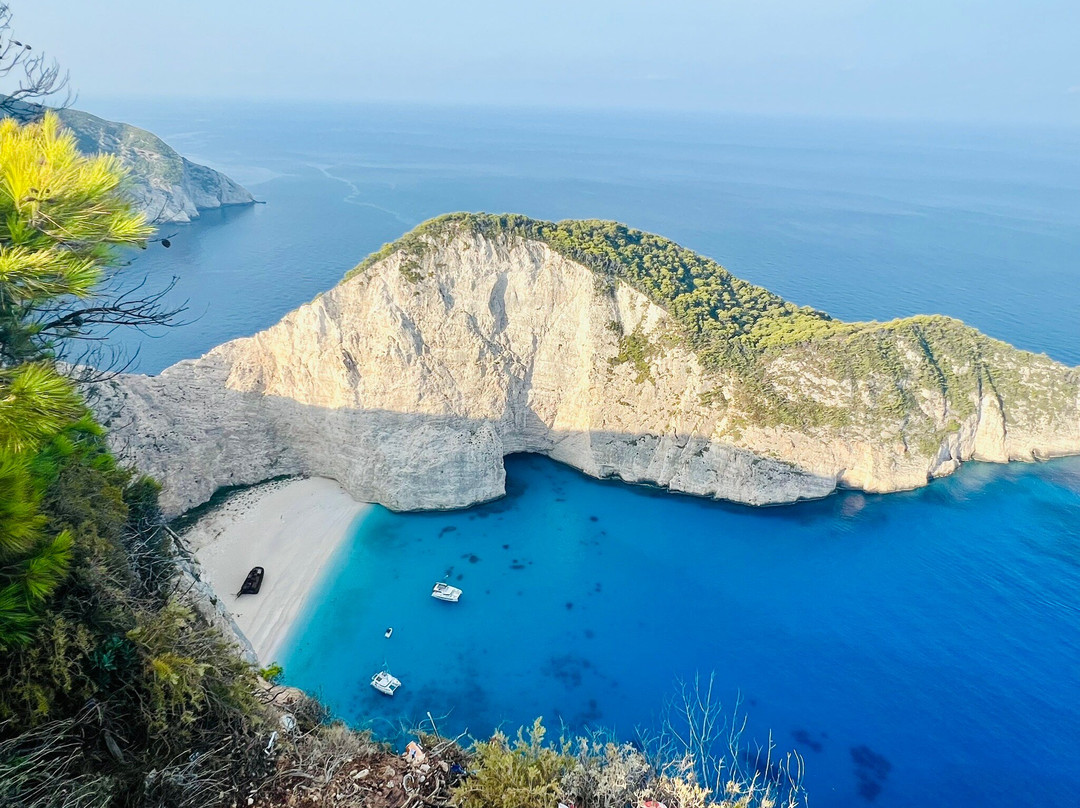 Olive Tree-扎金索斯必去景点