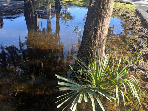 盖恩斯维尔拉昆塔温德姆酒店主图