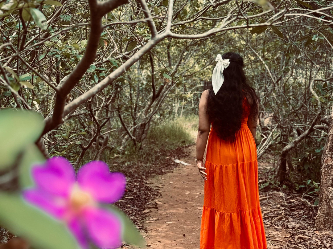 Beddegana Wetland Park-斯里贾亚瓦德纳普拉必去景点