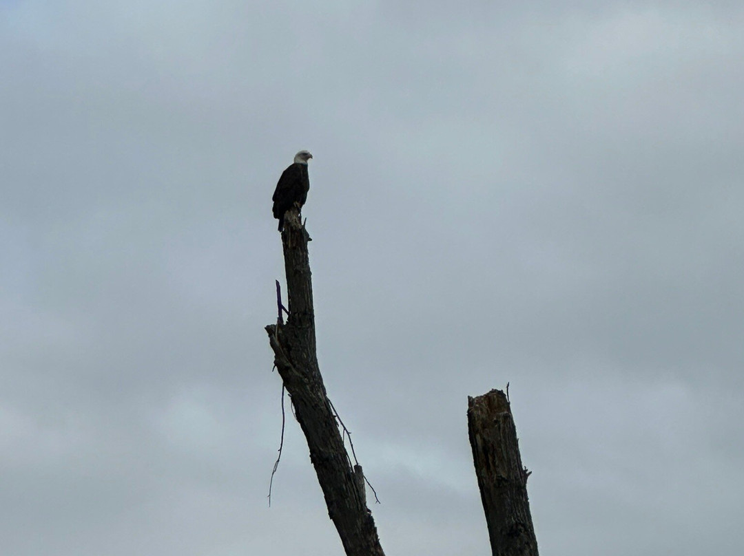 栗山自然保护区-加利纳必去景点