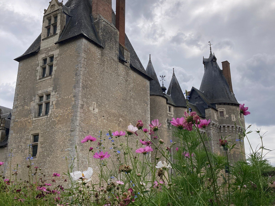 Chateau de Fougeres-sur-Bievre-Fougeres-sur-Bievre必去景点