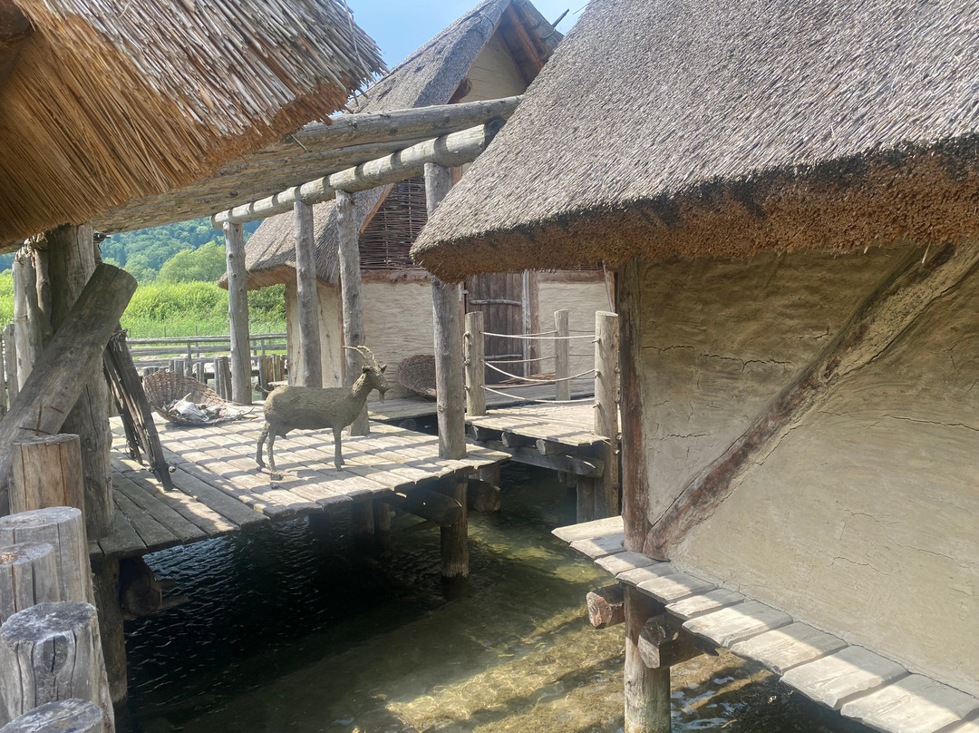 Museo delle Palafitte di Fiavé-Fiave必去景点